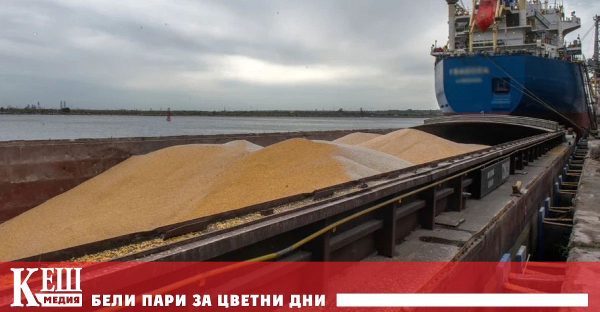 С отличните си приходи от износ на петрол Salic сега