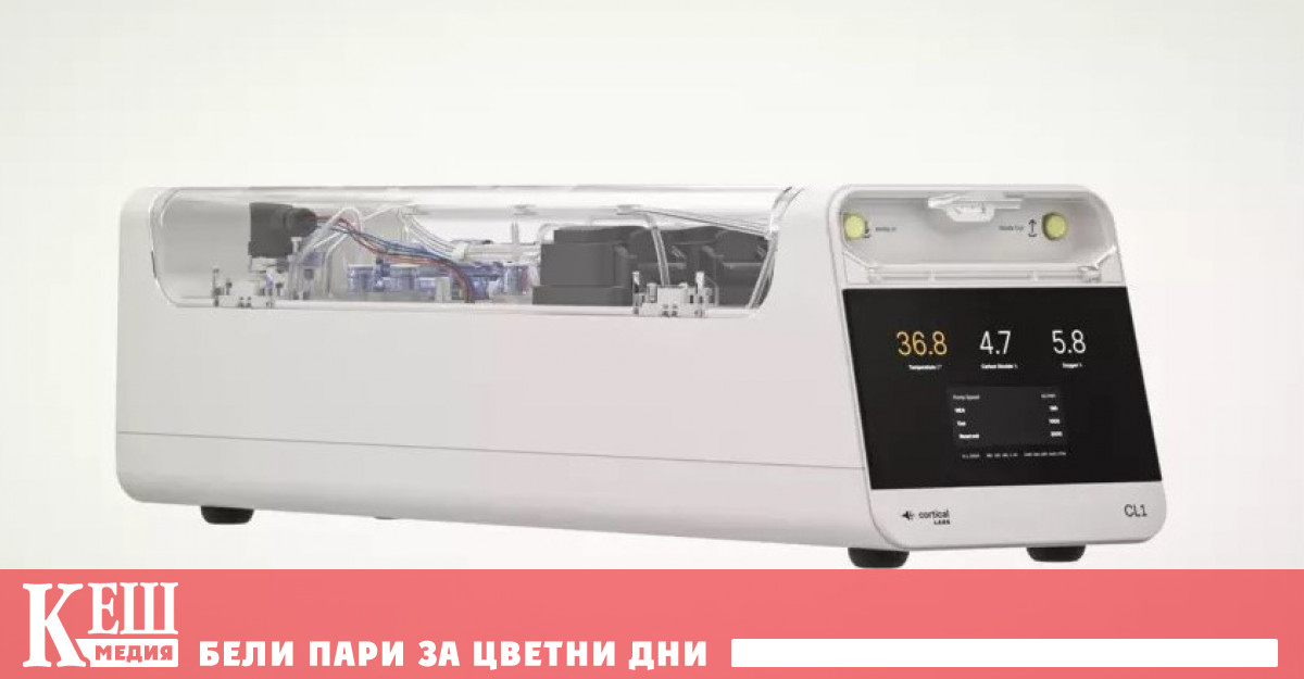 Създаден е първият биологичен компютър който съчетава клетки от човешки