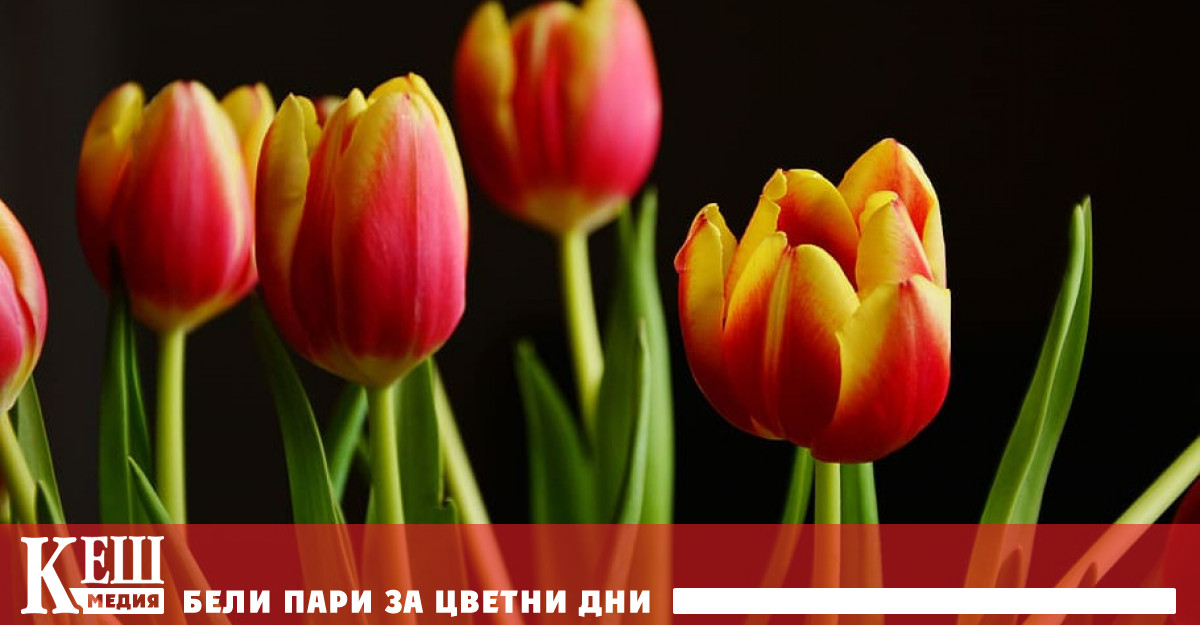 Най скъпо е да се купи букет за Международния ден на