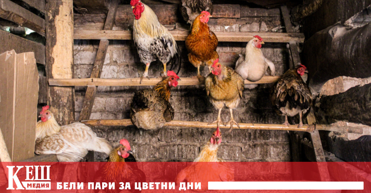 Оценявайки резкия скок в нелегалния внос не само на яйца