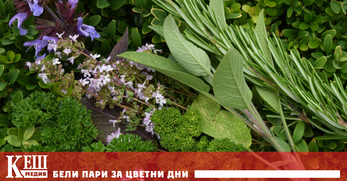 Екип от научния институт Scripps в САЩ разкри че веществото