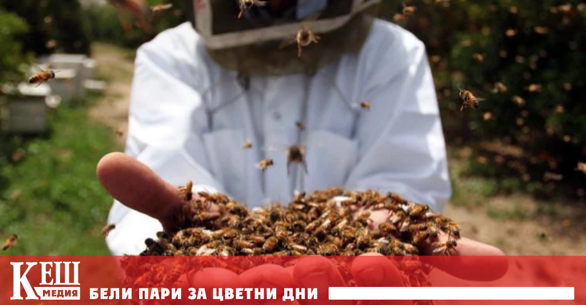 Цифрата бележи унищожението на 3 7 милиона пчелни колонии – с
