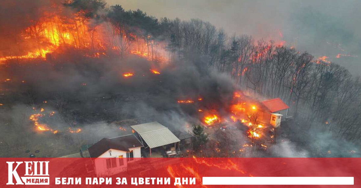 Повечето от жертвите са на възраст между 60 и 70