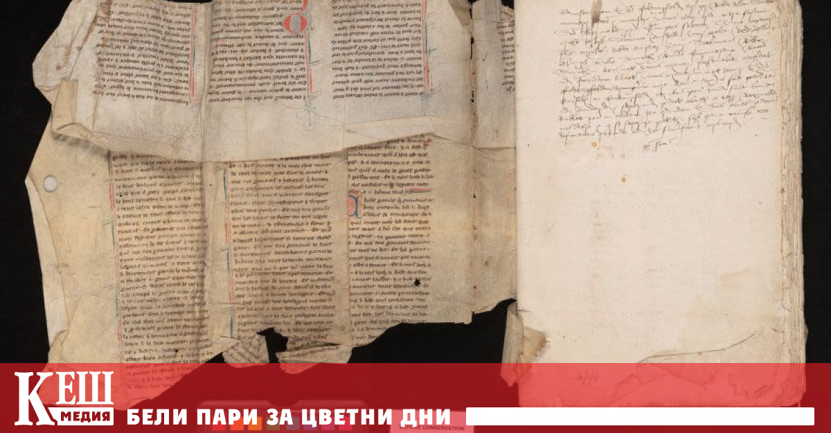 Учени от Университета в Кеймбридж направиха изненадващо откритие те успяха