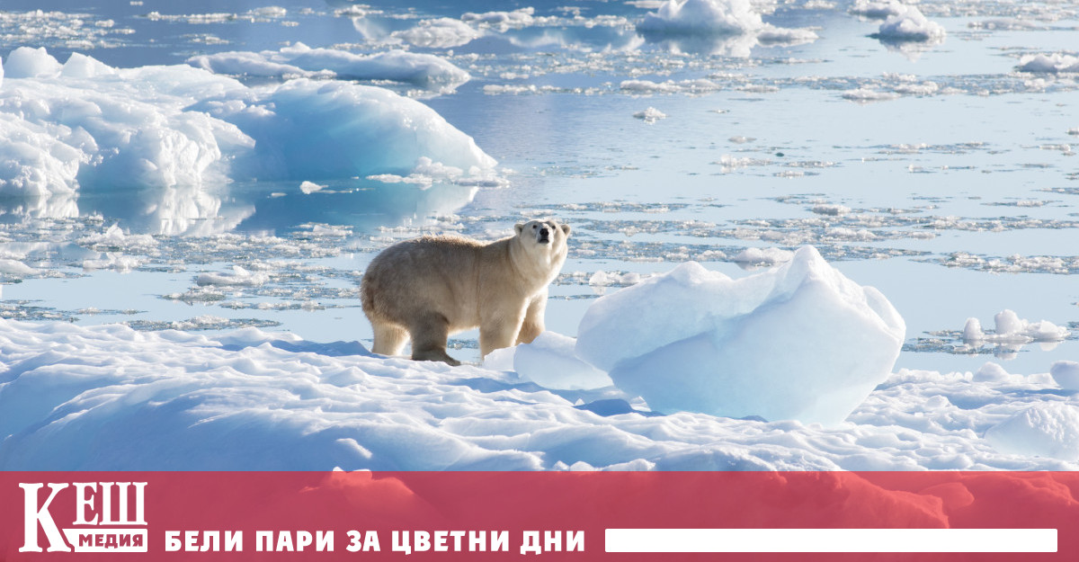 Очевидно екипът на Тръмп приема реално многократно повторената идея САЩ