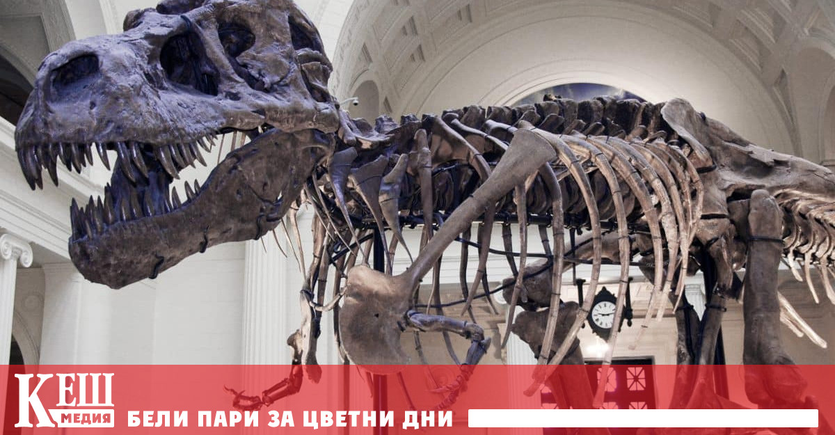 В неотдавнашна своя статия озаглавена T rex изчезващият вид