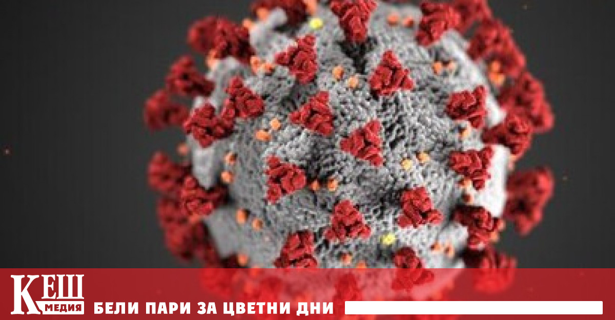 Белият дом под ръководството на Доналд Тръмп пусна обновения сайт