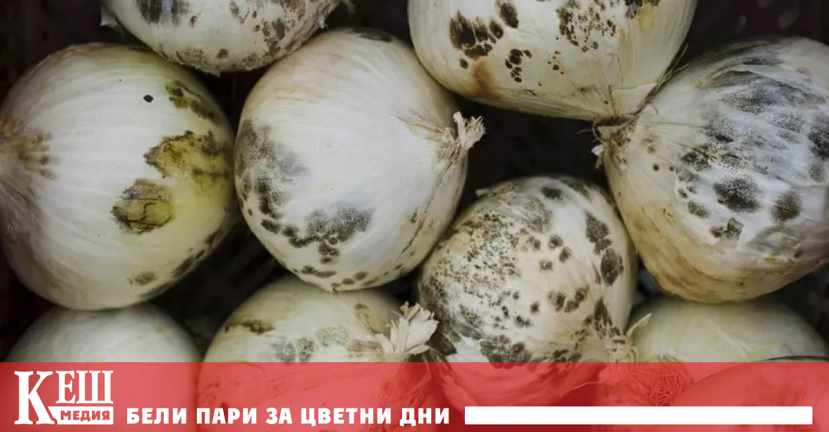 Според СЗО глобалното води до ускорено разваляне и замърсяване на