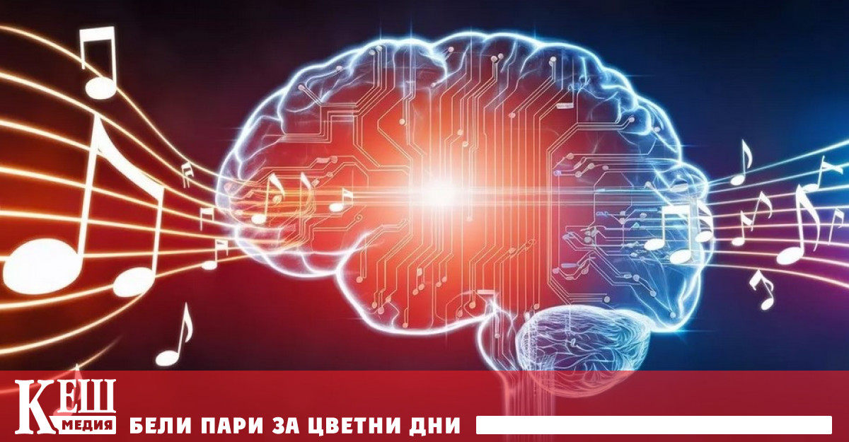 Международна група учени представи данни според които човешкият мозък и
