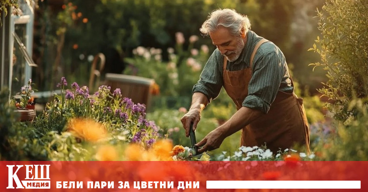 Не всички обичат или имат възможност да се разхождат всеки