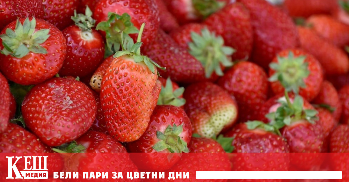 Доцентът от катедрата по болнична педиатрия на Института по майчинство