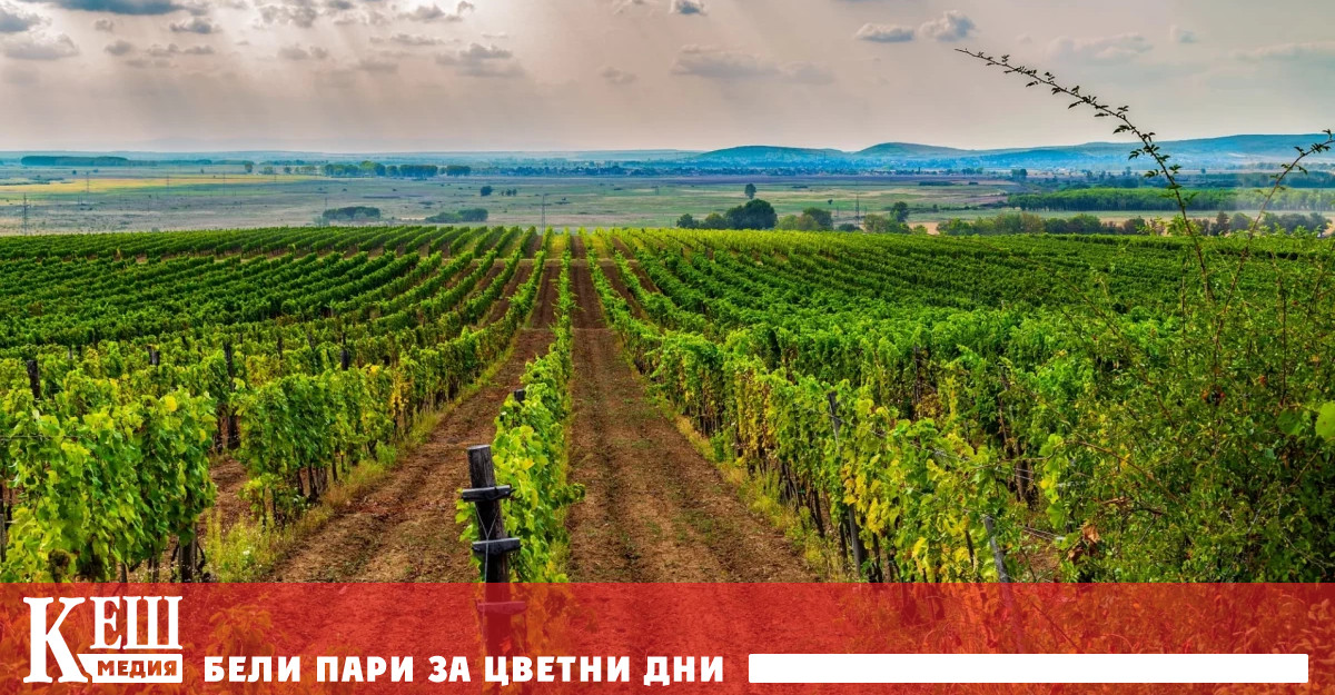 Общоевропейско проучване на CropLife Europe Ipsos и Euronews проследи все