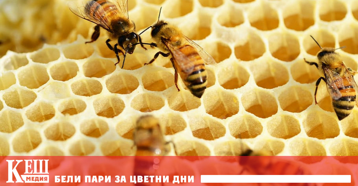 Учени от Университета в Сидни откриха мощни антибактериални свойства на