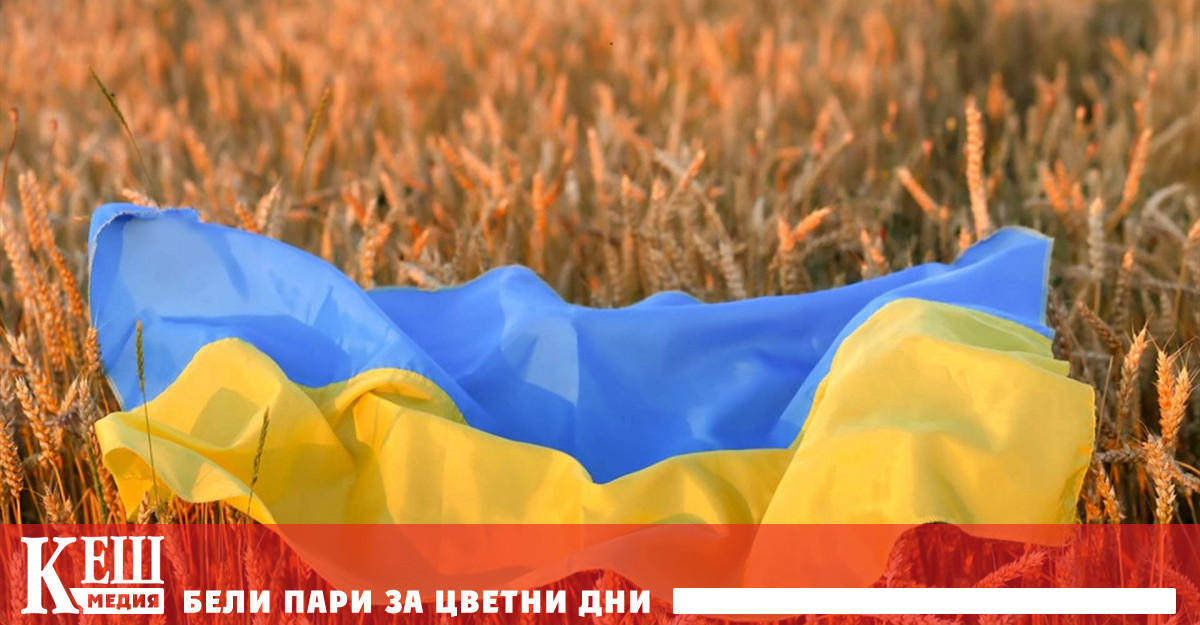 Коригирани са разпоредбите на Задълбочената и всеобхватна зона за свободна