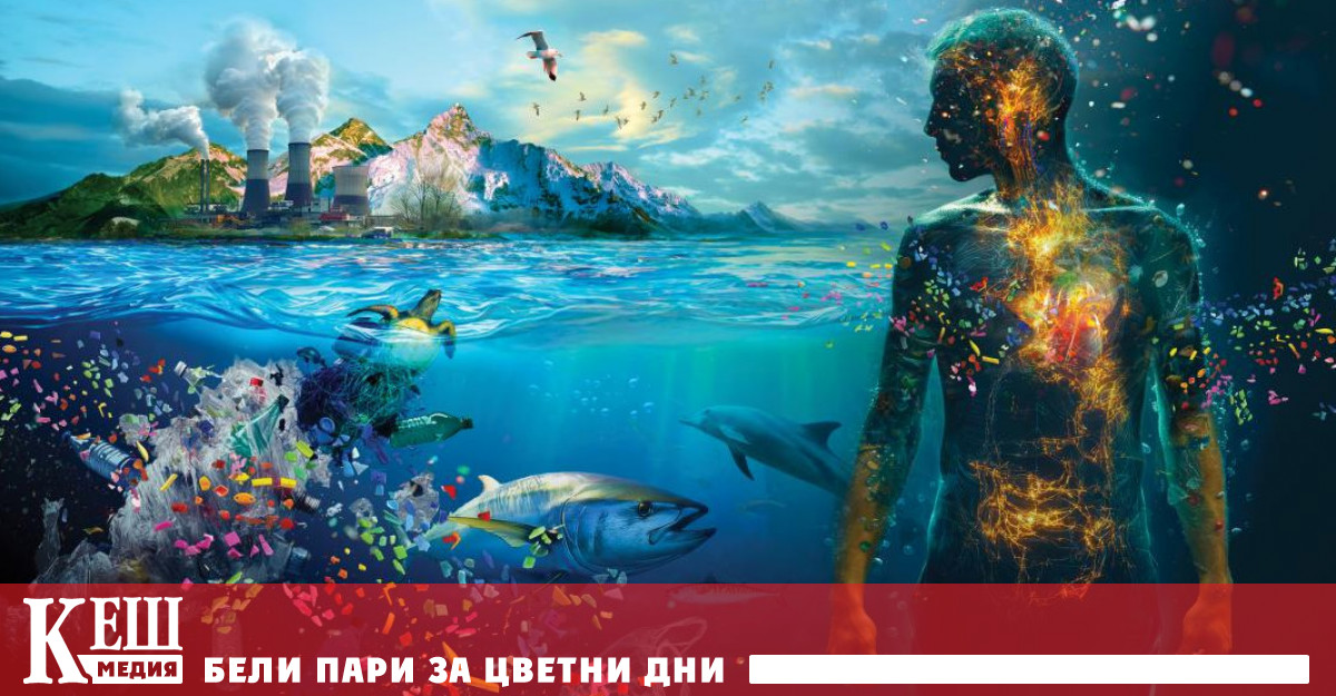 Шокиращите цифри са резултат на френско проучване проведено от екипи