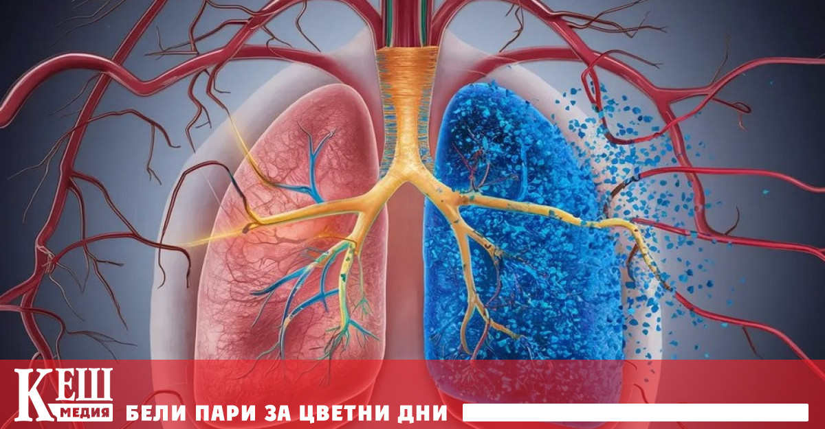 Учени за първи път бял дроб от генетично модифицирана на
