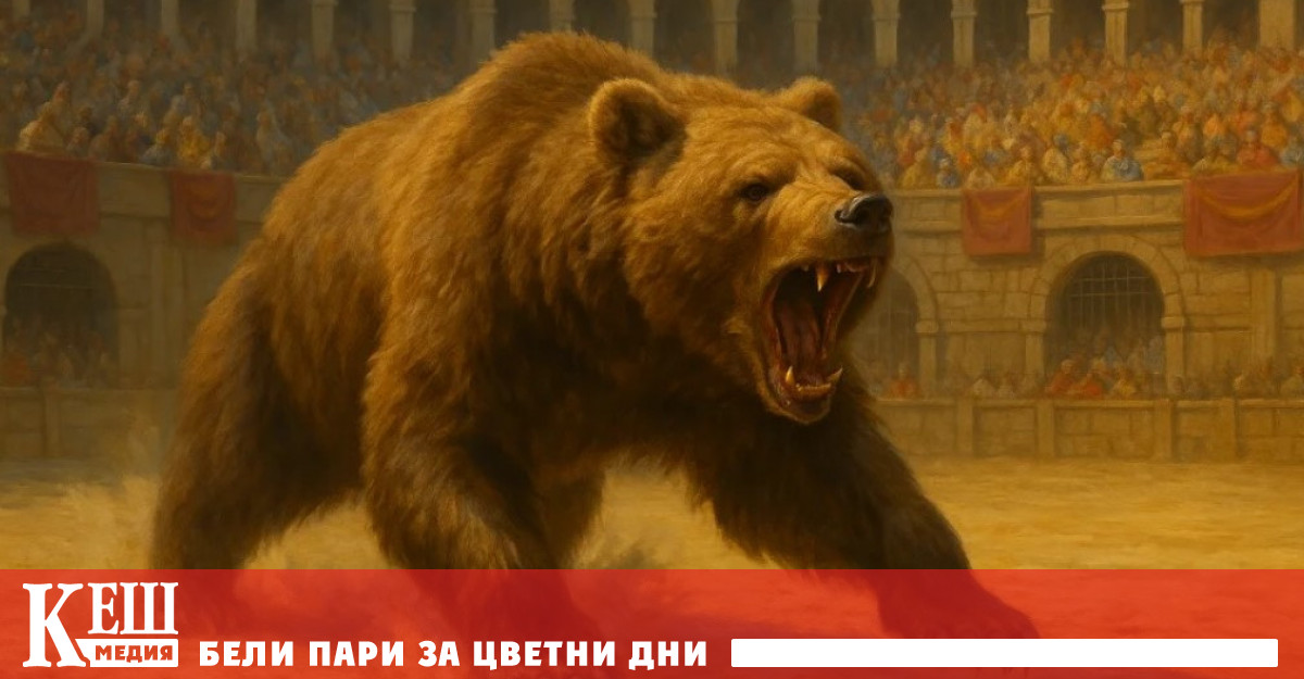 Счупен череп на кафява мечка открит до римски амфитеатър в