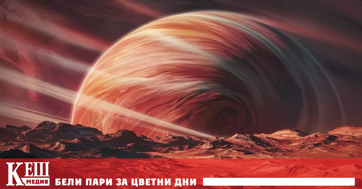 Учени от Университета Райс установиха че панетата е изиграл решаваща