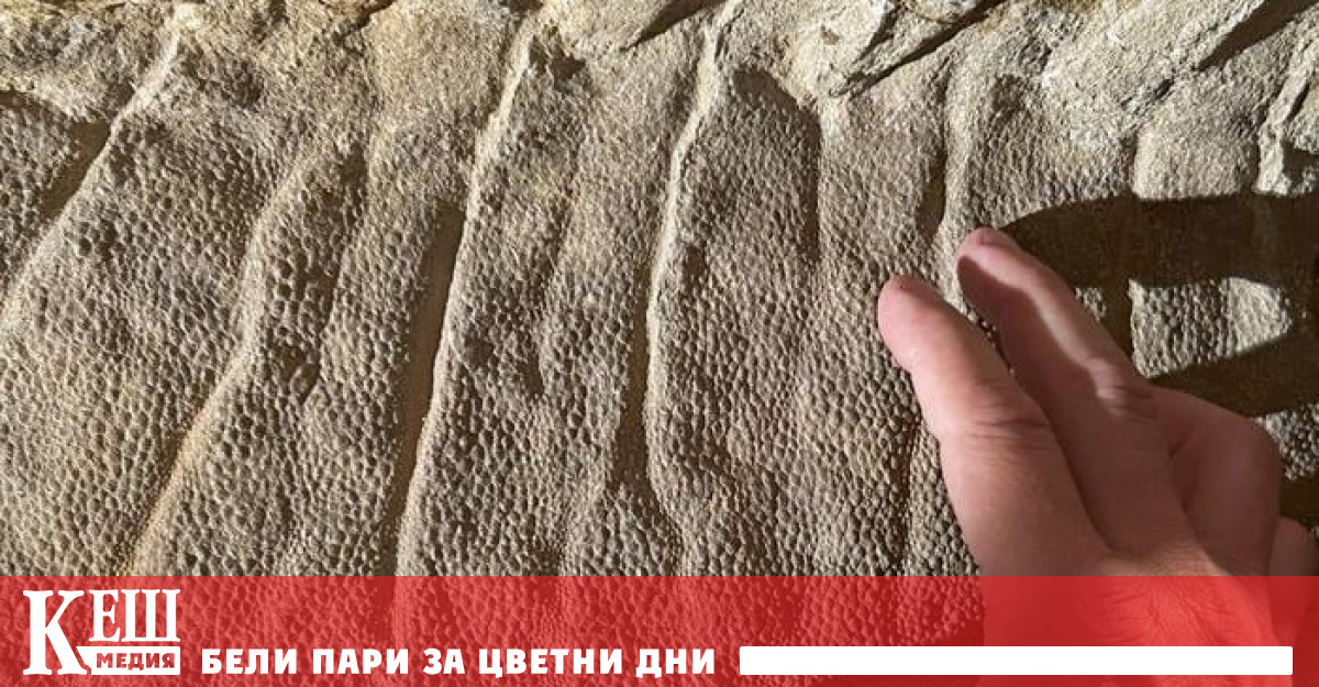 В Уайоминг САЩ учени по рано откриха два необичайно добре запазени