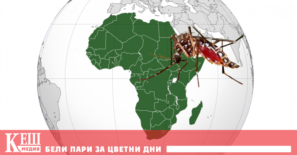 Програмата съгласувана със Световната здравна организация СЗО атакува тежкото заболяване