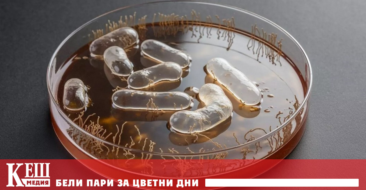 В е регистриран първият известен случай на смърт на човек