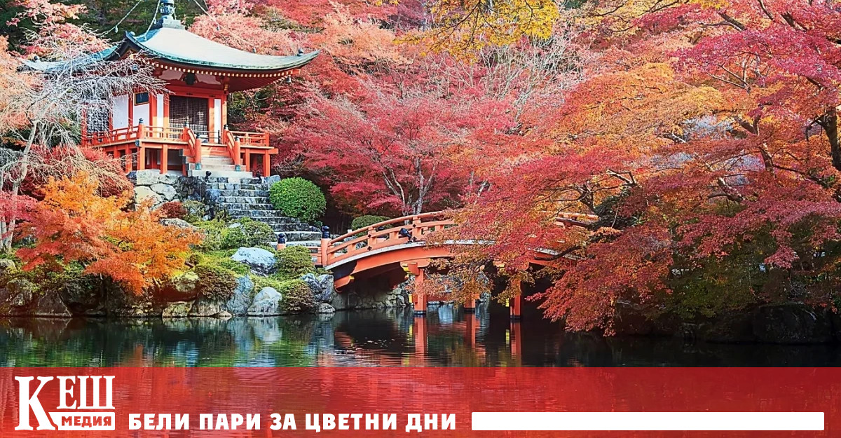 Предложението идва от Японската национална туристическа организация JNTO и авиокомпанията