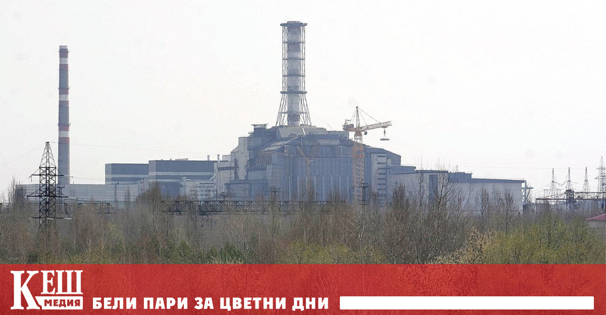 В разрушения енергиен блок в Чернобил е открита черна гъба