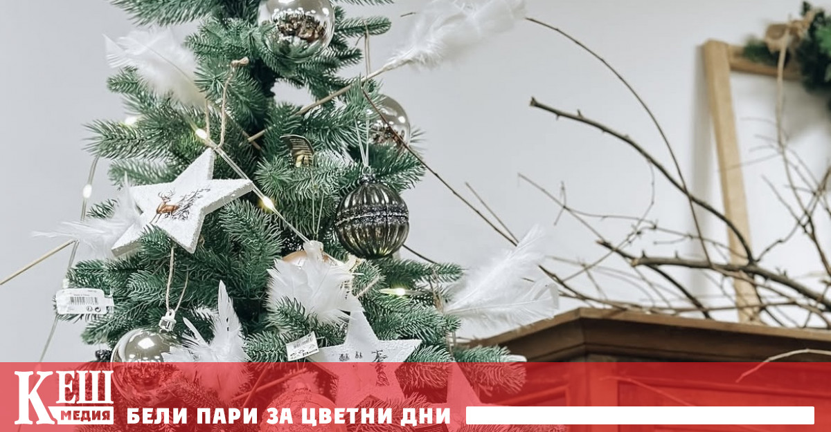 Изборът и украсяването на елха е традиция но предпочитанията към