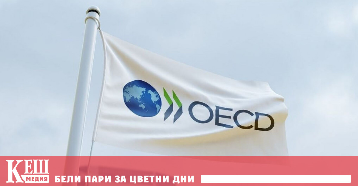 Според доклад на Организацията за икономическо сътрудничество и развитие ОИСР