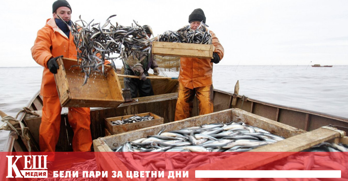 Цената на рибата в световен мащаб през декември се до