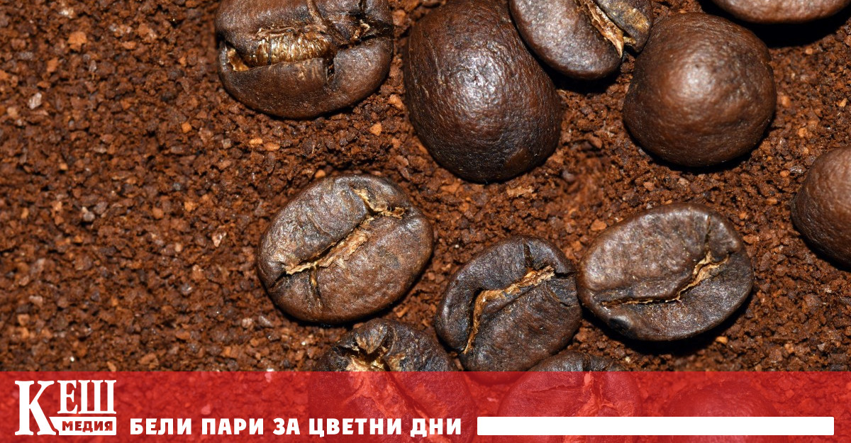 Борсовите в света спаднаха във вторник с над 6 като