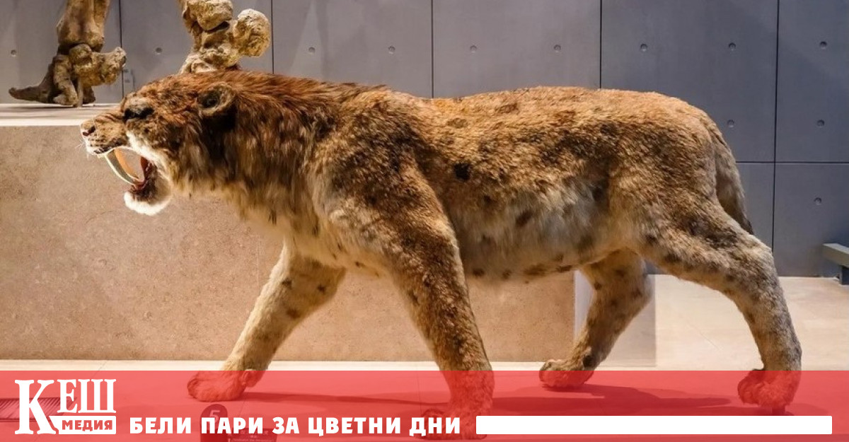 Хранителните вериги на съвременните бозайници в различните части на света