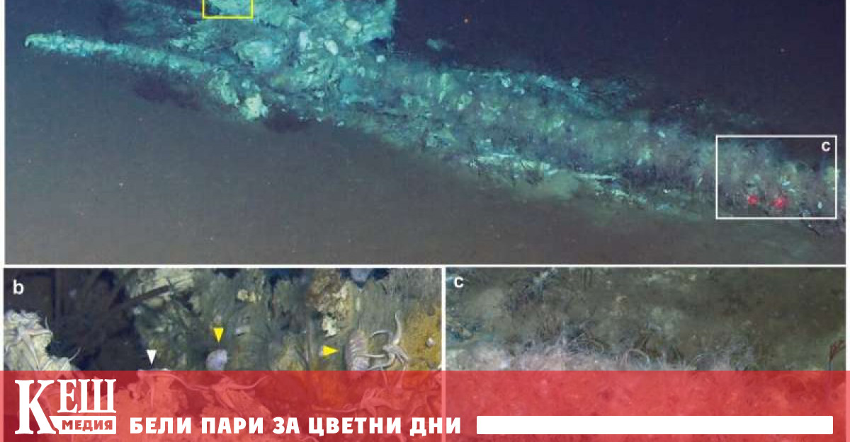 По време на експедиция на изследователския кораб Тансуойихао с помощта