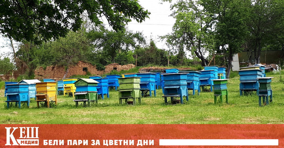 От днес пчеларите подават заявления за плащане
