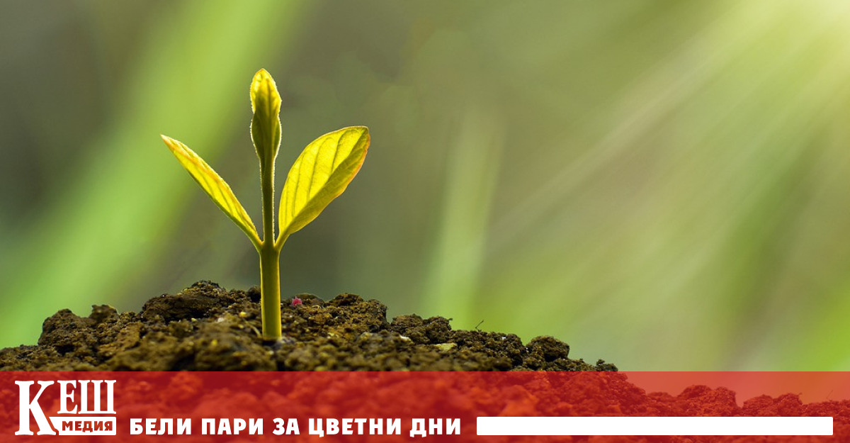 След мораториума 20% от длъжниците няма да могат да обслужват кредитите си