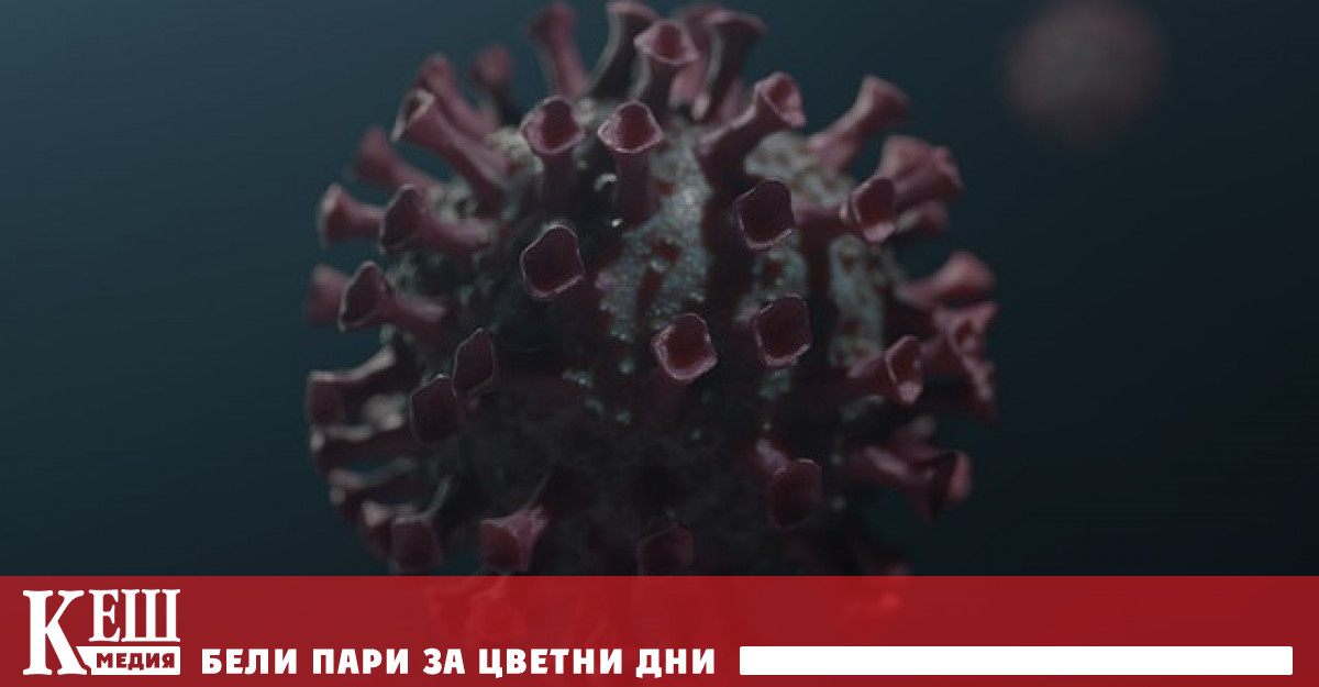 Открита е мутацията на коронавируса, с която е започнало заразяването на хора
