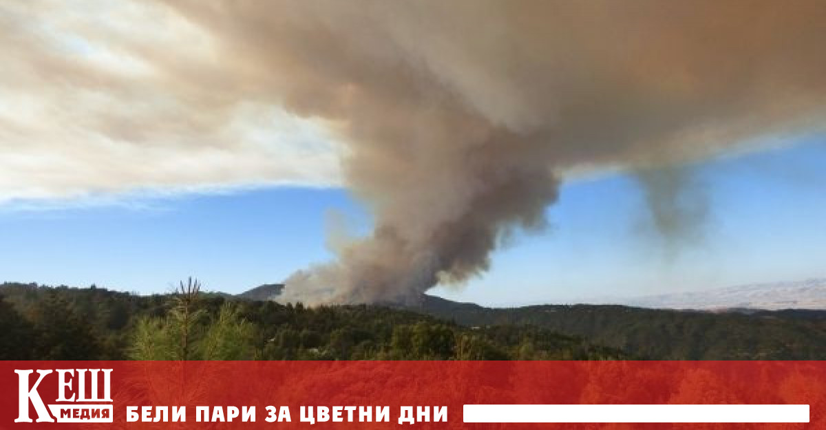 Пожарите от миналото хвърлят нова светлина върху климатичните промени