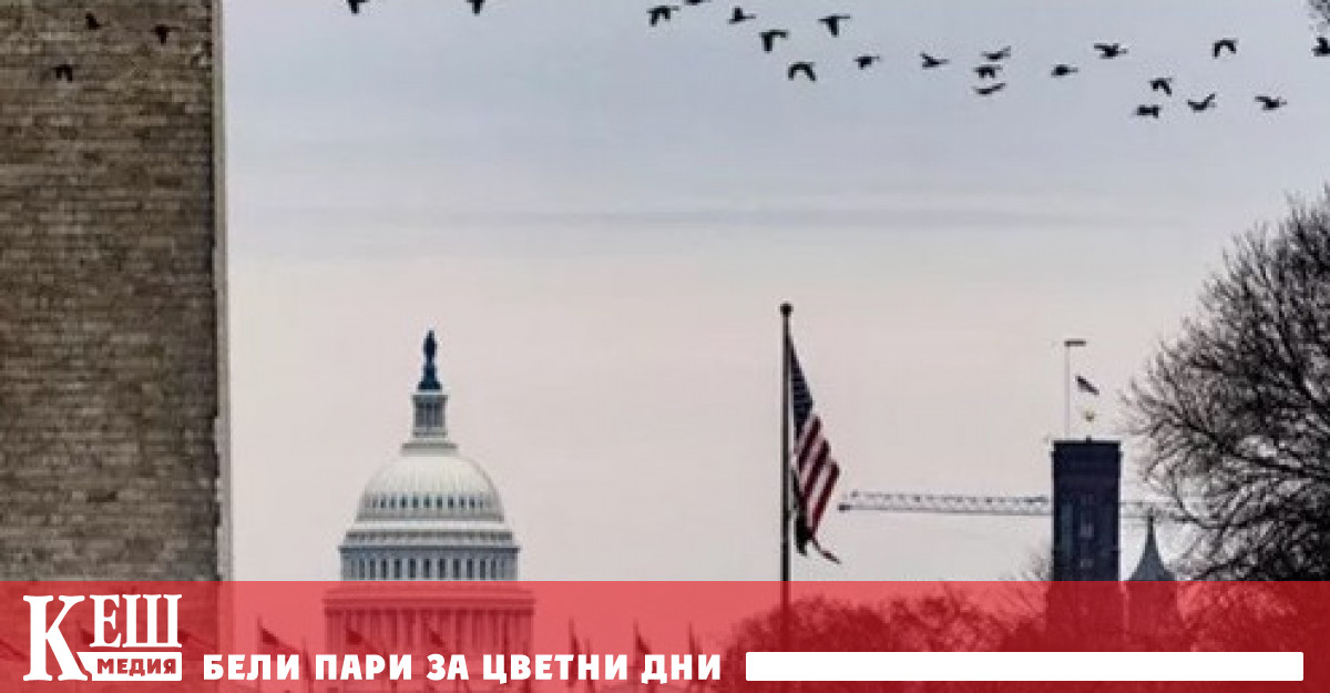 Необяснимо ослепяване и загиване на птици се наблюдава във Вашингтон