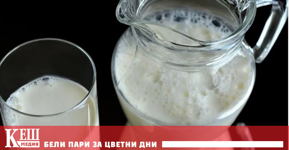 Полза или вреда: трябва ли възрастните да пият мляко?