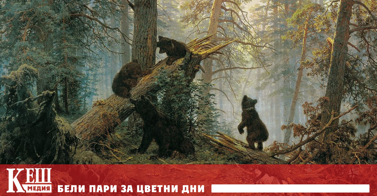 Трето мече е спасено в рамките на по-малко от 10 дни в района на Чепеларе