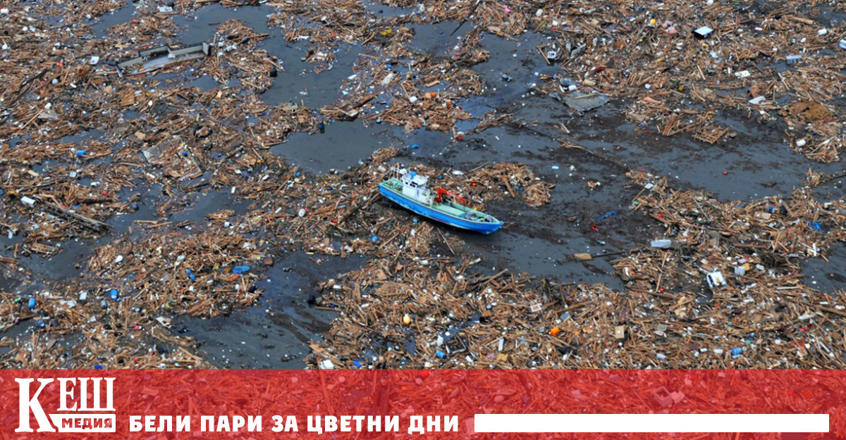 Около 8 милиона тона пластмасови отпадъци попадат всяка година в океаните