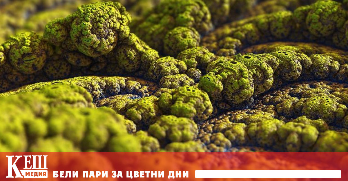 Първи случай на заболяването „зелена плесен“ е открит в Индия