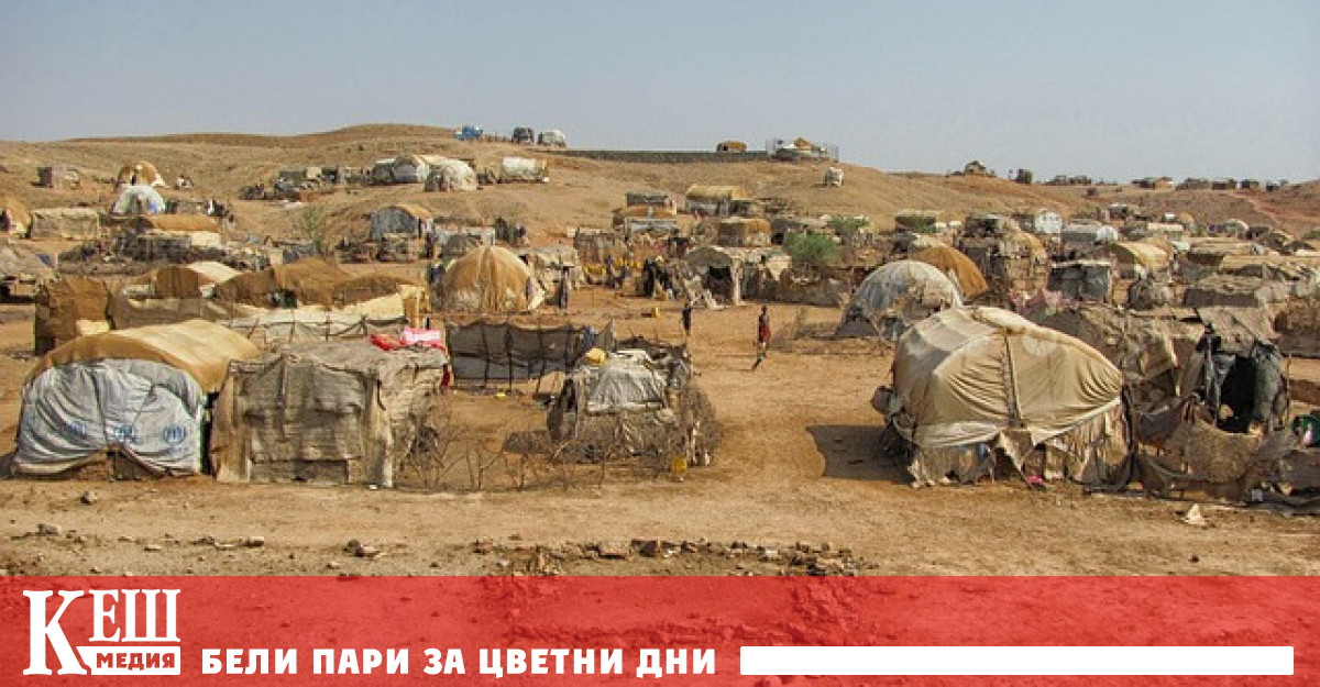 Близо 3 милиона човека са били принудени да напуснат домовете си през 2020 г.