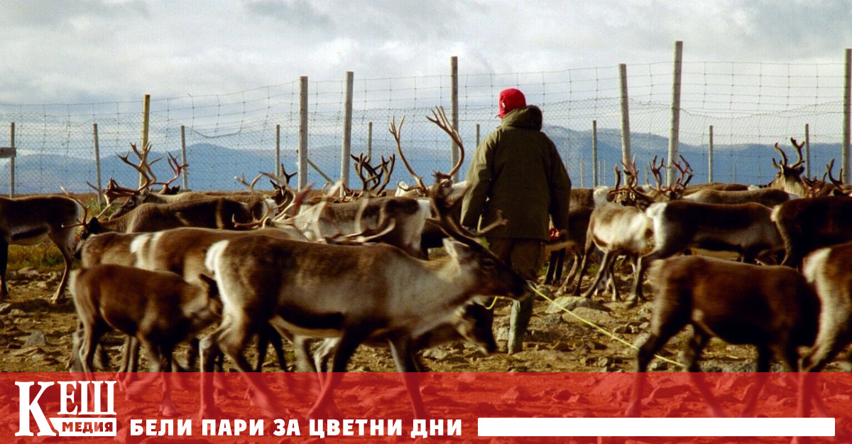 Хората от руска Арктика обсъждат проблемите си с швейцарски инвеститори