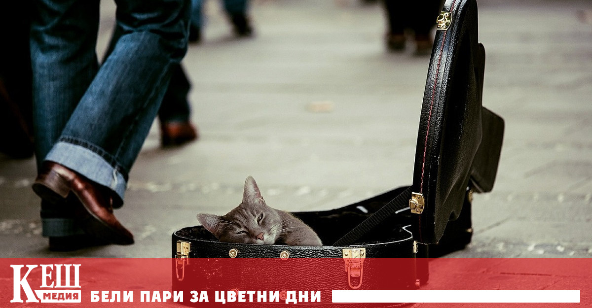 Близо 1 660 000 българи живеят в бедност, обяви социалното министерство