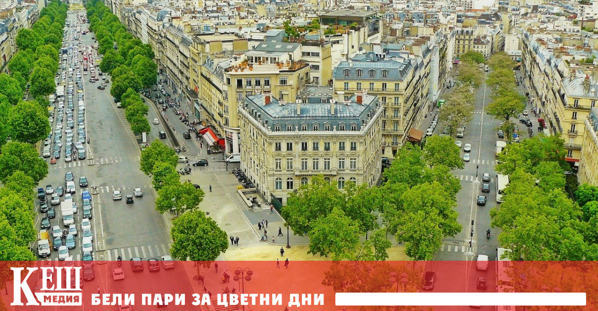 Ново проучване: Градските дървета имат удивителна устойчивост на климатичните промени