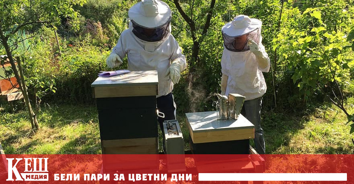 Държавен фонд започна изплащането на финансова помощ за пчеларите предаде