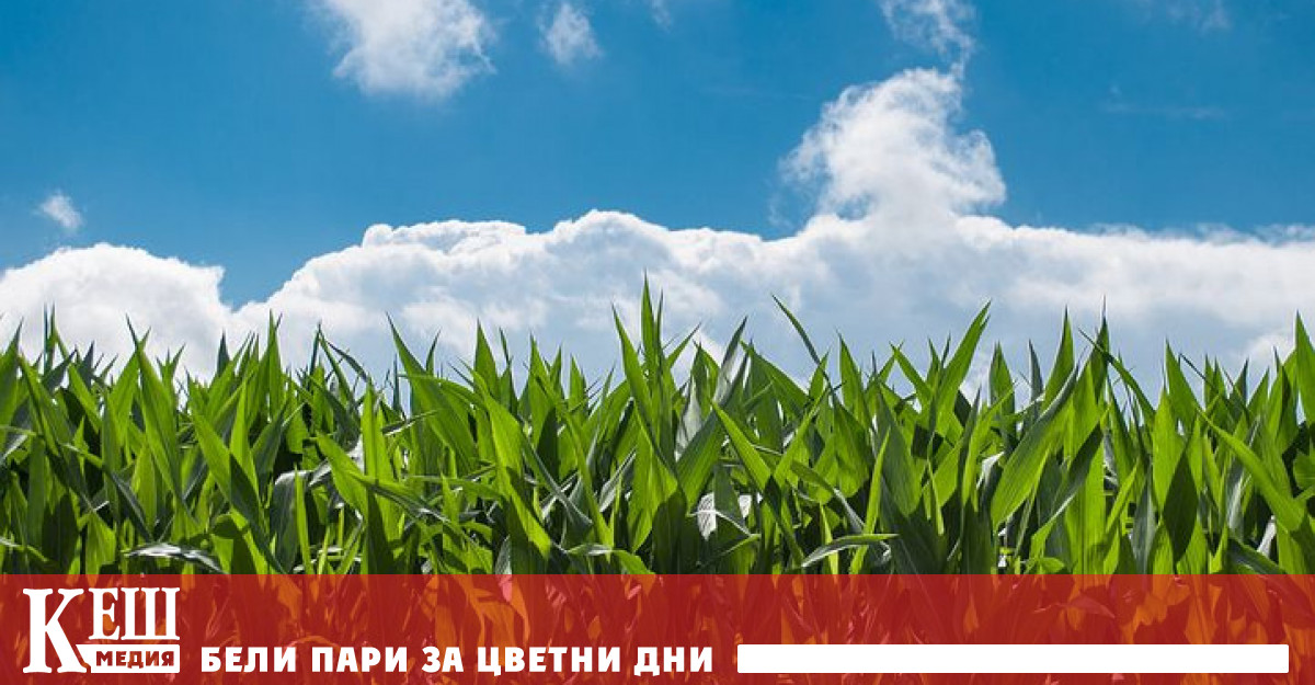 Нова посока в рудодобива може да го изведе от мините