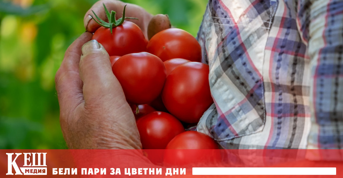 Зеленчукопроизводителите имат само още 2 дни за кандидатстване за краткосрочни кредити