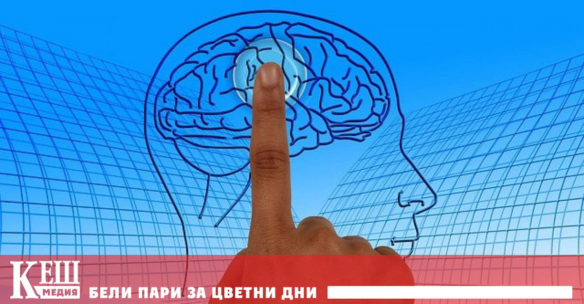 Неизвестен тип сигнали са открити в човешкия мозък